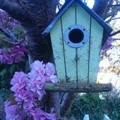 User avatar for Helen Marriott