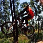 User avatar for Eneas Bernardo