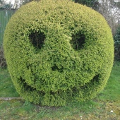 User avatar for Dan Perry