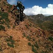 User avatar for Alexey Davies