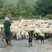 User avatar for Kerry Vickers