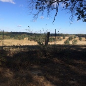 User avatar for Robin Mac Gowan