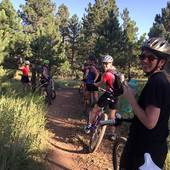 User avatar for Maya Gurarie