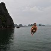 User avatar for Tim Farley