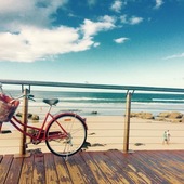 User avatar for Renee S