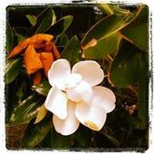 User avatar for Robyn Norton