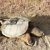 User avatar for Alex Czernik