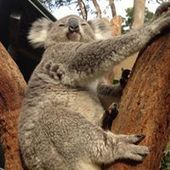 User avatar for Caroline Jeavons