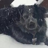 User avatar for Angela Tucker