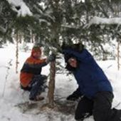 User avatar for Dirk Mewes