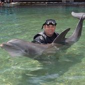 User avatar for David Hughes