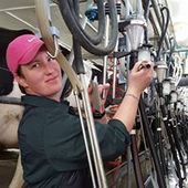 User avatar for Amber Lockley