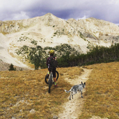 User avatar for Jason Riley