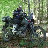 User avatar for Damir Magdić