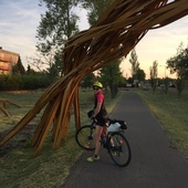 User avatar for Dragana Solaja