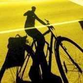 User avatar for Michele Dipace