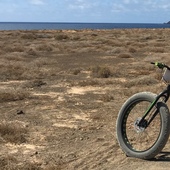 User avatar for Tatiana Di Guglielmo