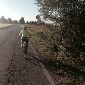 User avatar for Anna Zetti