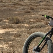 User avatar for Tatiana Di Guglielmo