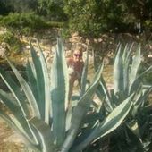 User avatar for Danijela Trbušić