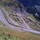 User avatar for Marco Carbone