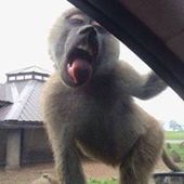 User avatar for Jay Flo