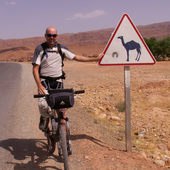 User avatar for Lorenzo Bortolin