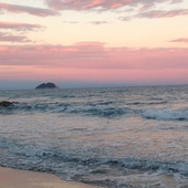 User avatar for Stefania Azzola