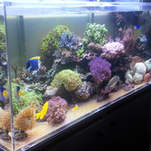 User avatar for Ruggero Biella