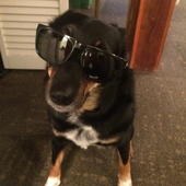 User avatar for Anna Woodford