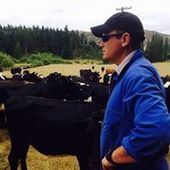 User avatar for Michael Woodward