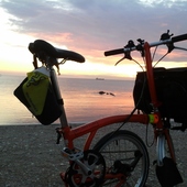 User avatar for Maria Gabriella Berti