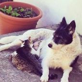 User avatar for Natalia Piatti