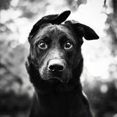 User avatar for Simone Cardi