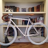 User avatar for Debora Da Dalt