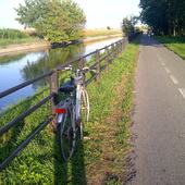 User avatar for Sonia Ronchi