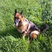 User avatar for Cesare Pagnini