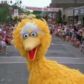 User avatar for Lesley Carter