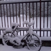 User avatar for Paola Corrente