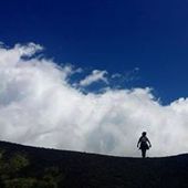 User avatar for Martina Dei