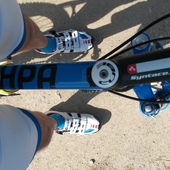 User avatar for Davide Colnaghi