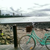 User avatar for Dee Bridges