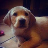 User avatar for Laura Ferraresi