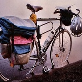 User avatar for Silvio Palombella