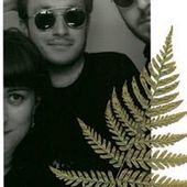 User avatar for Stefano Bergami