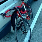 User avatar for Peter Wilcox