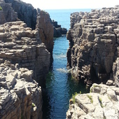 User avatar for Ivana Chianese