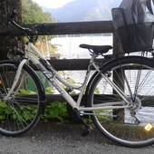 User avatar for Lorena Caraffa