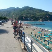 User avatar for Francesca Bersani