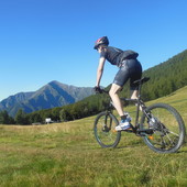 User avatar for Lorenzo Spazzadeschi